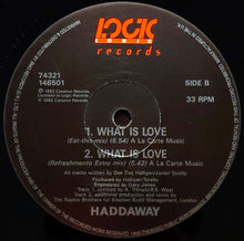 Load image into Gallery viewer, Haddaway : What Is Love (12&quot;)
