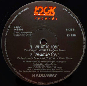 Haddaway : What Is Love (12")