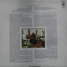 Load image into Gallery viewer, David Bromberg : David Bromberg (LP, Album)
