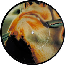 Load image into Gallery viewer, Peter Gabriel : Shock The Monkey (7&quot;, Single, Pic)
