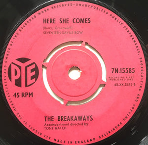 The Breakaways : That Boy Of Mine (7")