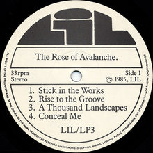 Load image into Gallery viewer, The Rose Of Avalanche : First Avalanche (LP, Comp)
