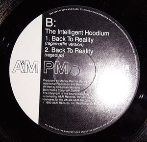 Intelligent Hoodlum : Back To Reality (12")