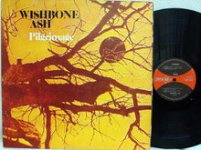 Load image into Gallery viewer, Wishbone Ash : Pilgrimage (LP, Album, Gat)

