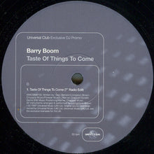 Load image into Gallery viewer, Barry Boom : Taste Of Things To Come (12&quot;, Promo)
