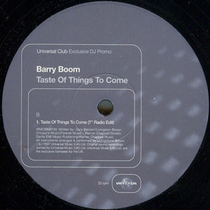 Barry Boom : Taste Of Things To Come (12", Promo)