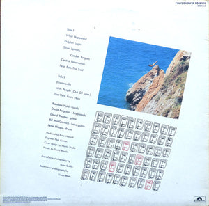 Random Hold : The View From Here (LP, Album)