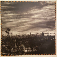 Load image into Gallery viewer, Merle Haggard and Willie Nelson : Poncho &amp; Lefty (LP, Album)
