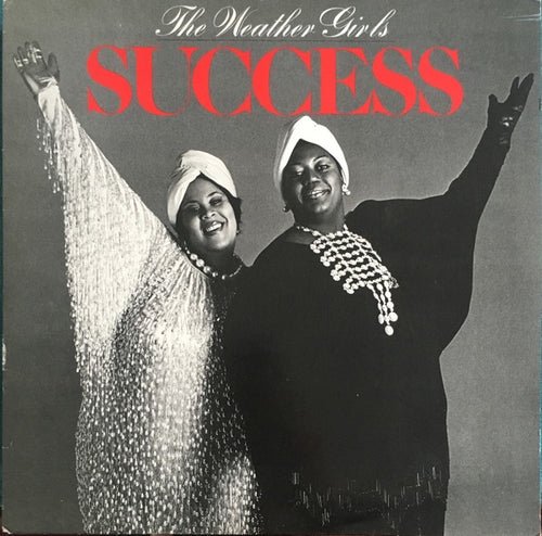 The Weather Girls : Success (LP)
