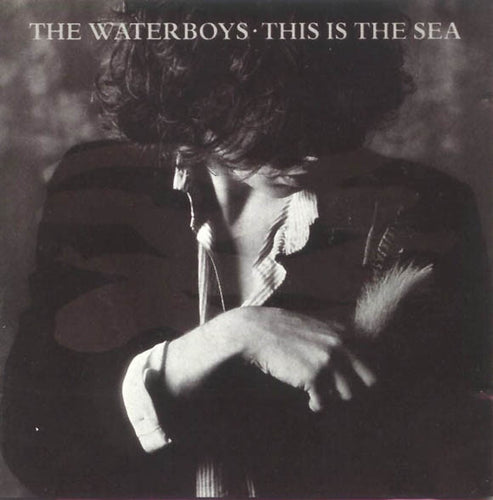 The Waterboys : This Is The Sea (LP, Album, RE, RM, 180)