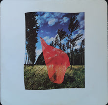 Load image into Gallery viewer, Pink Floyd : Wish You Were Here (LP, Album, RE)
