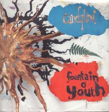 Load image into Gallery viewer, Candyland : Fountain O&#39; Youth (12&quot;)
