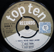 Load image into Gallery viewer, Unknown Artist : Top Ten (7&quot;)
