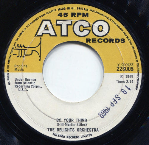 Delights Orchestra : Do Your Thing (7