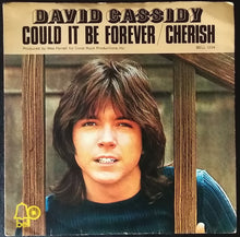Load image into Gallery viewer, David Cassidy : Could It Be Forever / Cherish (7&quot;, Single, Sol)
