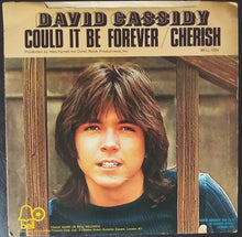Load image into Gallery viewer, David Cassidy : Could It Be Forever / Cherish (7&quot;, Single, Sol)
