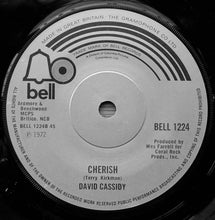 Load image into Gallery viewer, David Cassidy : Could It Be Forever / Cherish (7&quot;, Single, Sol)
