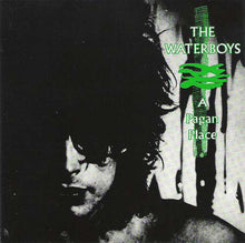 Load image into Gallery viewer, The Waterboys : A Pagan Place (LP, Album, EMI)
