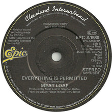 Load image into Gallery viewer, Meat Loaf : I&#39;m Gonna Love Her For Both Of Us (7&quot;, Single, Promo)
