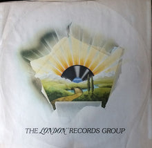 Load image into Gallery viewer, Them (3) : The Story Of Them (LP, Comp)
