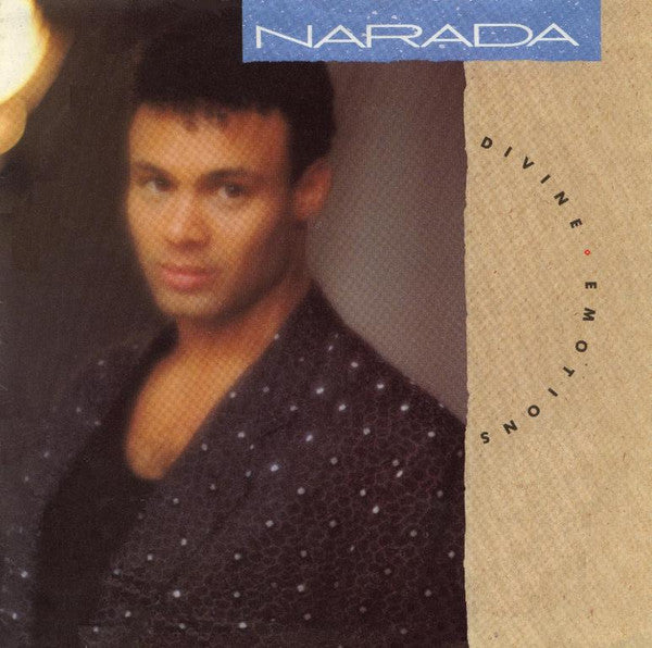 Narada Michael Walden : Divine Emotions (7