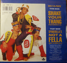 Load image into Gallery viewer, Salt &#39;N&#39; Pepa : Shake Your Thang (It&#39;s Your Thing) / Spinderella&#39;s Not A Fella (But A Girl DJ) (7&quot;, Single, Sil)
