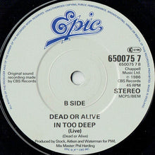 Load image into Gallery viewer, Dead Or Alive : Brand New Lover (7&quot;, Single)
